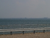 Drive out to Chincoteague