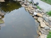 pond.jpg