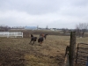 DSCF1018.JPG