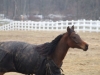 DSCF1032.JPG
