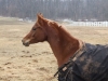 DSCF1033.JPG