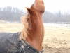 DSCF1034.JPG