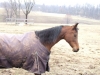 DSCF1035.JPG