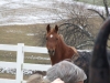 DSCF1036.JPG