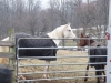 DSCF1042.JPG