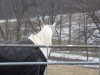 DSCF1043.JPG