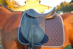 Courbette Magic Dressage Saddle