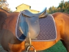 DSCN0860.JPG