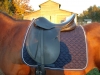 DSCN0863.JPG