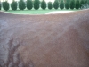DSCN0870.JPG