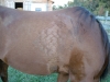 DSCN0872.JPG