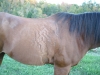 DSCN0874.JPG