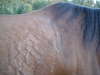 DSCN0875.JPG