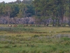 IMGP1124