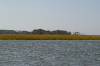 IMGP1074