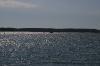 IMGP1108