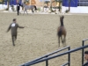 DSCF0414.jpg