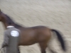 DSCF0419.jpg