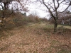 DSCF0717.JPG