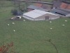 dscf0767.jpg