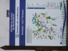 dscf0835.jpg