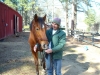 Prize, February 2009