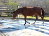 DSCN0259.JPG