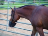 dsc01305.jpg