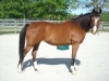 dscn0546.jpg