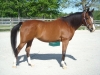 dscn0547.jpg