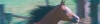 header_isis.jpg