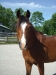 isis3.jpg