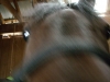 Kasane\'s nose