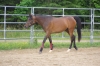 IMGP0561.JPG