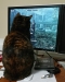 Phaedra playing Skyrim