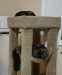 Kitties on tower