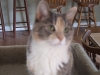 DSCF0683.JPG