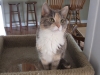 DSCF0684.JPG