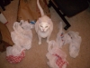 DSCN0734.JPG