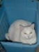 ambush2.thumbnail.jpg