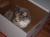 dscn0290.jpg