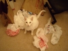 dscn0732.jpg