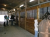 DSCN0103.JPG