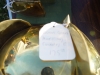 DSC01536.JPG