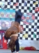 dscf0519.jpg