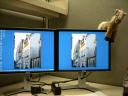 Monitor and horse