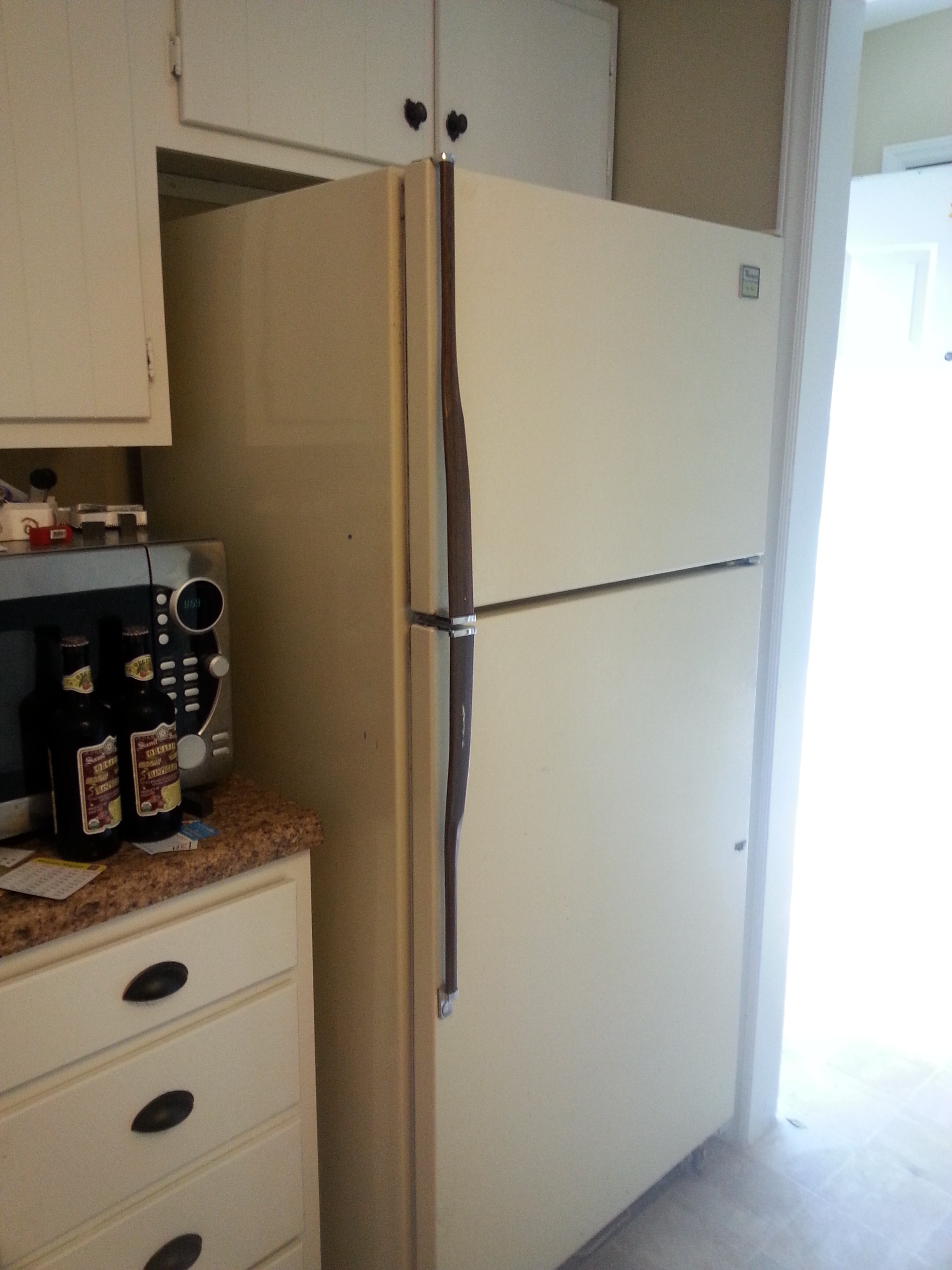 new-refrigerator-y-ceffyl-du