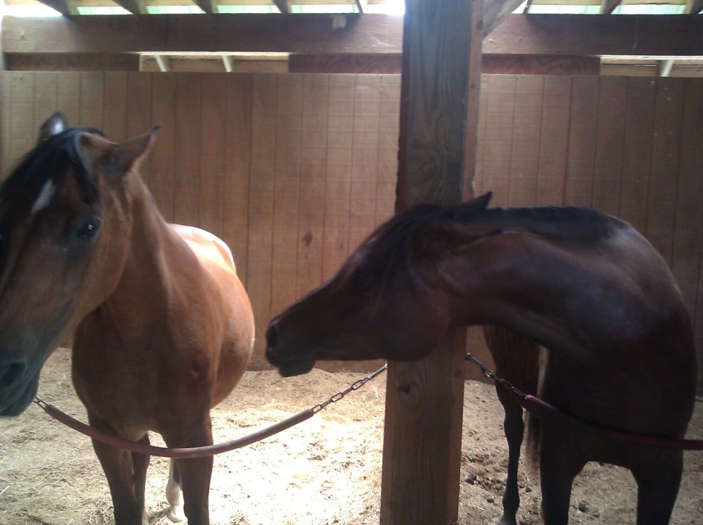 Prize and Kasane having a moment.