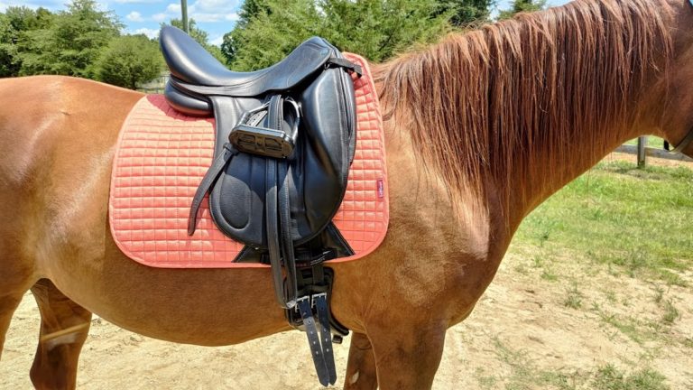 Girth or saddle issue? Take your pick.
