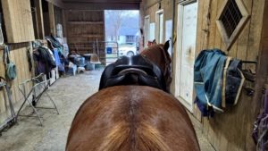Wow saddle from the back